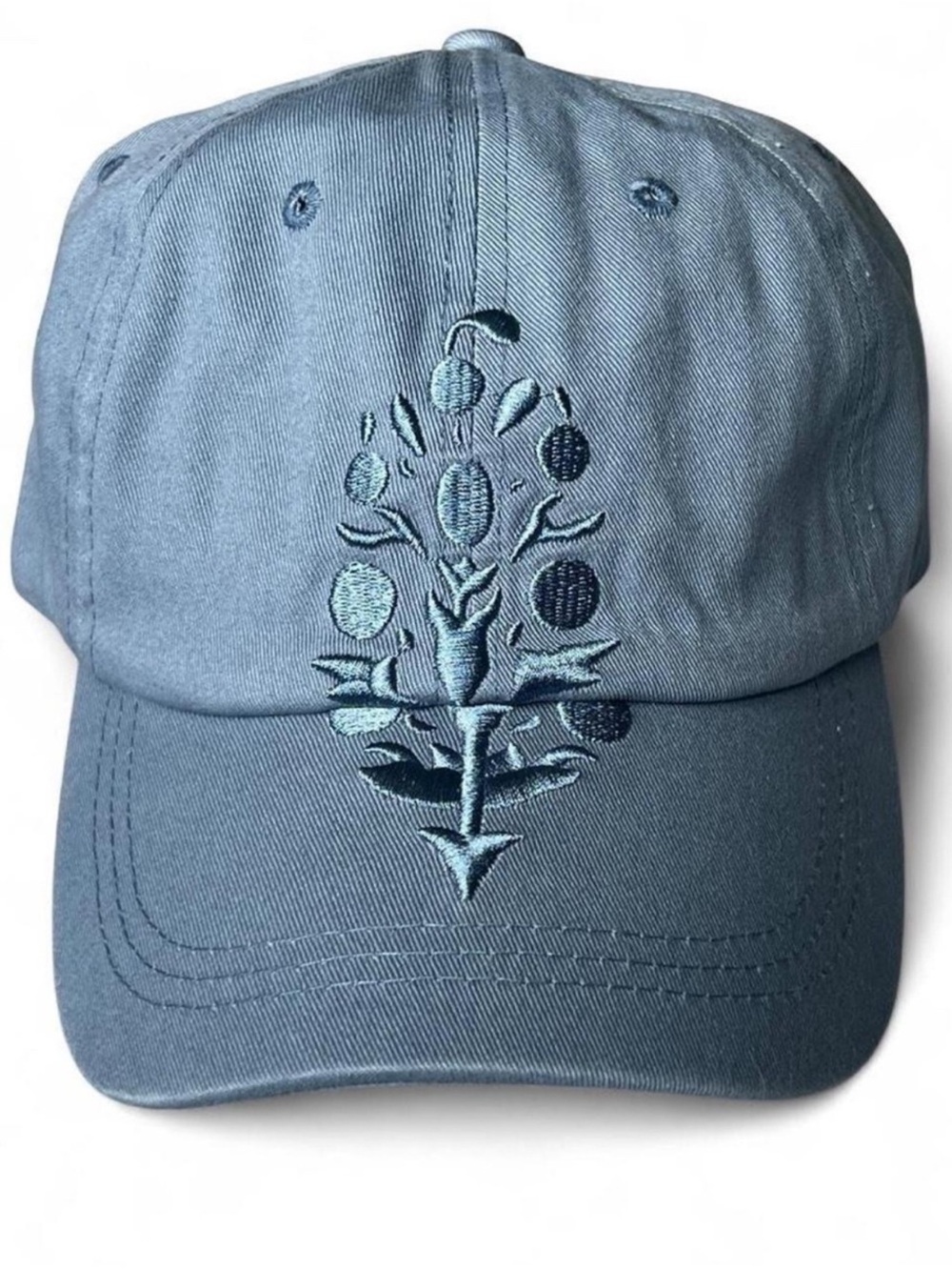 Free People Men's Embroidered Floral Baseball Cap - Slate Blue